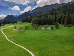 Foto di Simone Sbaraglio Pianoro verdeggiante con stradina sul lato sinistro, bosco sul lato destro e montagne sullo sfondo