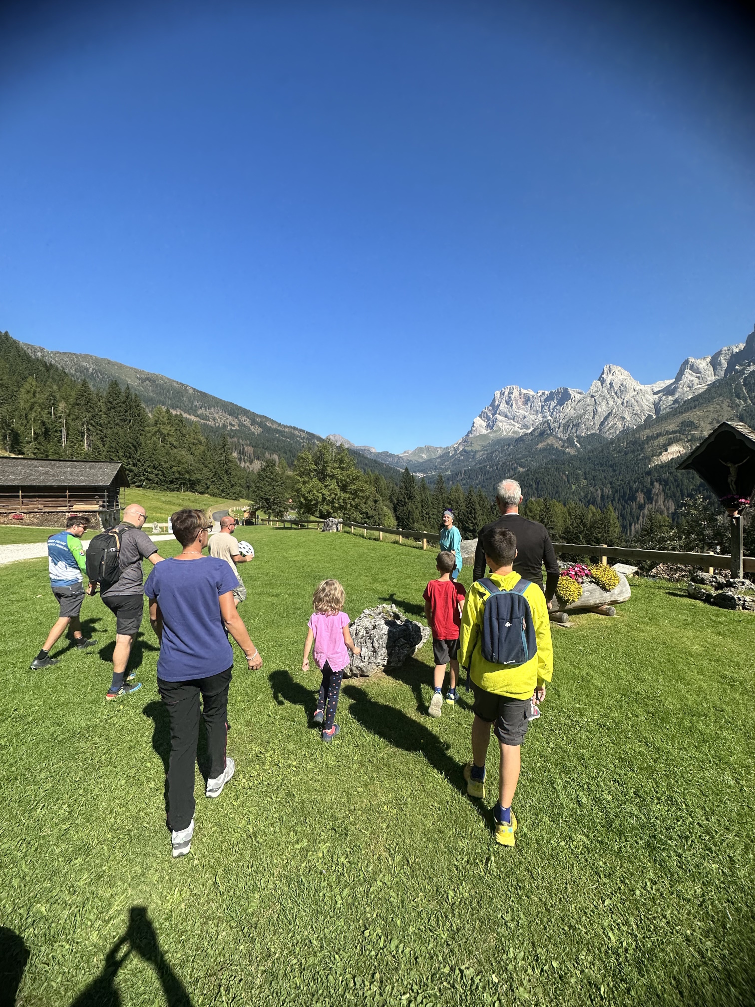 https://www.outdooractive.com/it/route/mountain-bike/san-martino-di-castrozza-primiero-vanoi/anello-in-mountain-bike-attorno-a-san-martino-di-castrozza-in-a-parco/291896374/?utm_source=unknown&utm_medium=social&utm_campaign=user-shared-social-content&share=~zymaeylv$4ossapoo TMP BIKE RENT Itinerari guidati - Malga Tognola 4