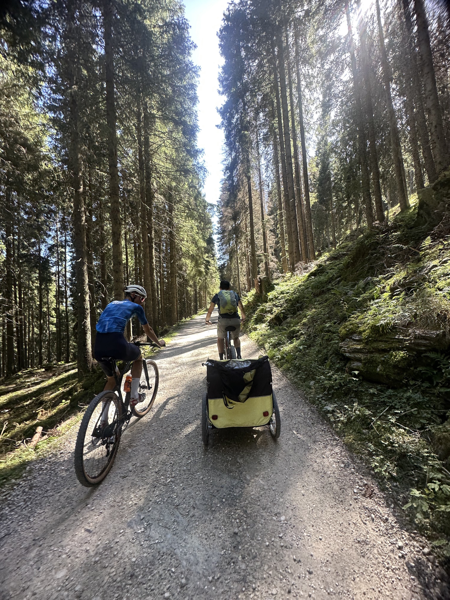 https://www.outdooractive.com/it/route/mountain-bike/san-martino-di-castrozza-primiero-vanoi/anello-in-mountain-bike-attorno-a-san-martino-di-castrozza-in-a-parco/291896374/?utm_source=unknown&utm_medium=social&utm_campaign=user-shared-social-content&share=~zymaeylv$4ossapoo TMP BIKE RENT Itinerari guidati - Malga Tognola