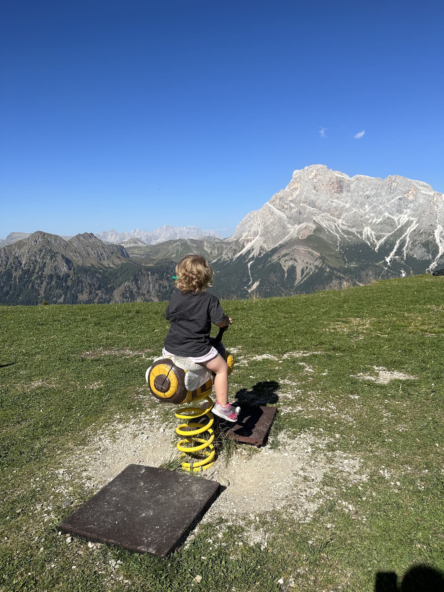 https://www.outdooractive.com/it/route/mountain-bike/san-martino-di-castrozza-primiero-vanoi/anello-in-mountain-bike-attorno-a-san-martino-di-castrozza-in-a-parco/291896374/?utm_source=unknown&utm_medium=social&utm_campaign=user-shared-social-content&share=~zymaeylv$4ossapoo TMP BIKE RENT Itinerari guidati - Malga Tognola 2